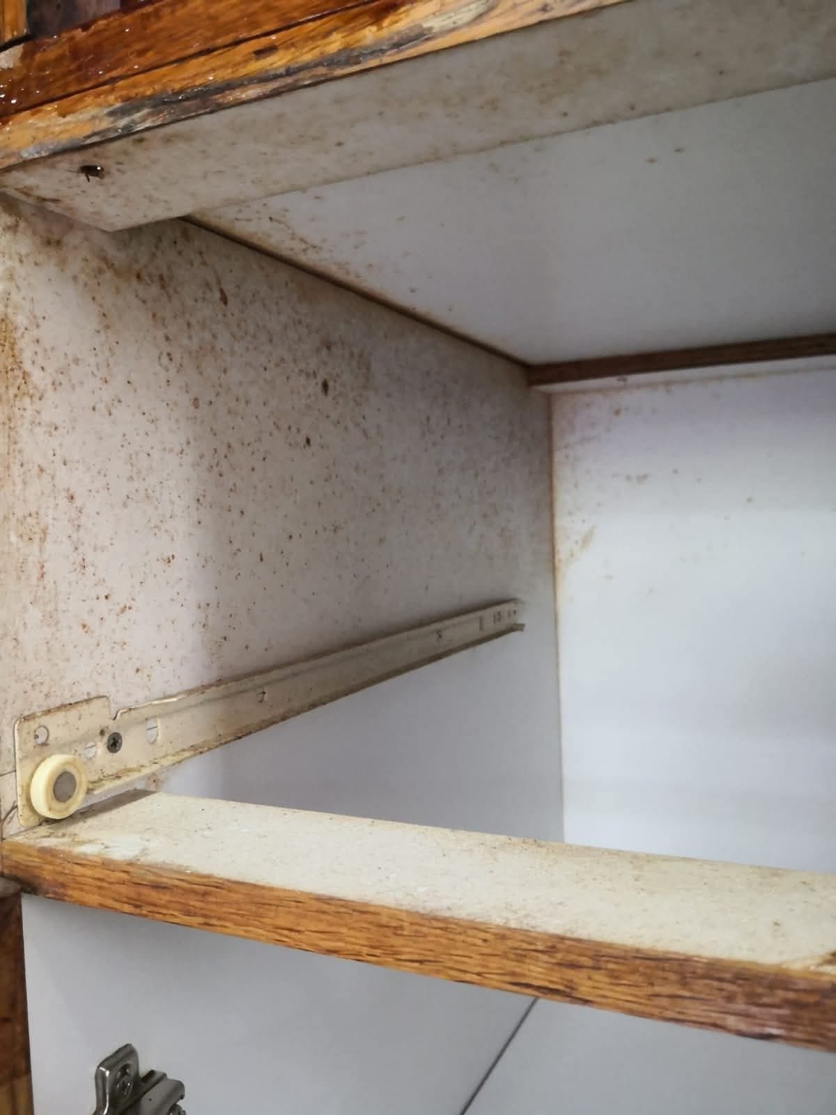 Hidden grime inside kitchen cabinet before cleaning