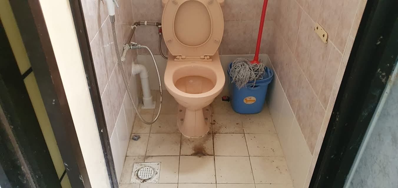 Toilet before cleaning