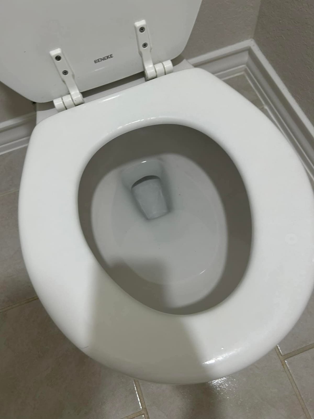 Toilet after cleaning