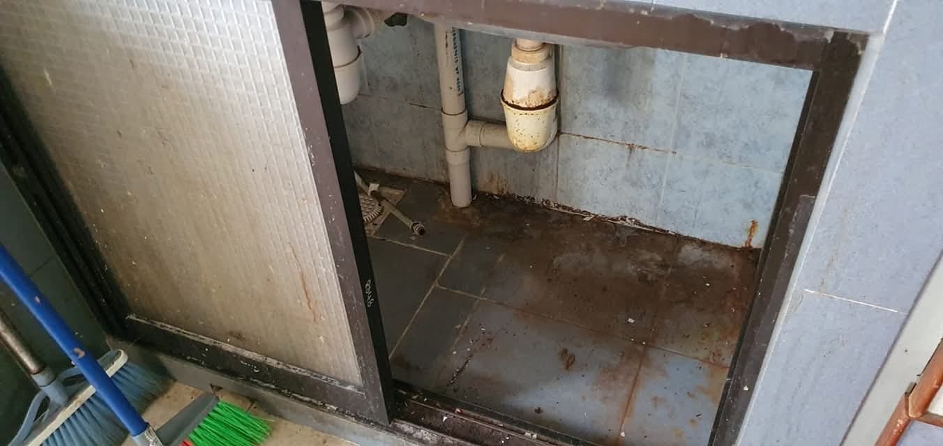 Under-sink cabinet before cleaning